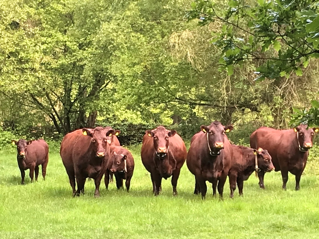 Farming1