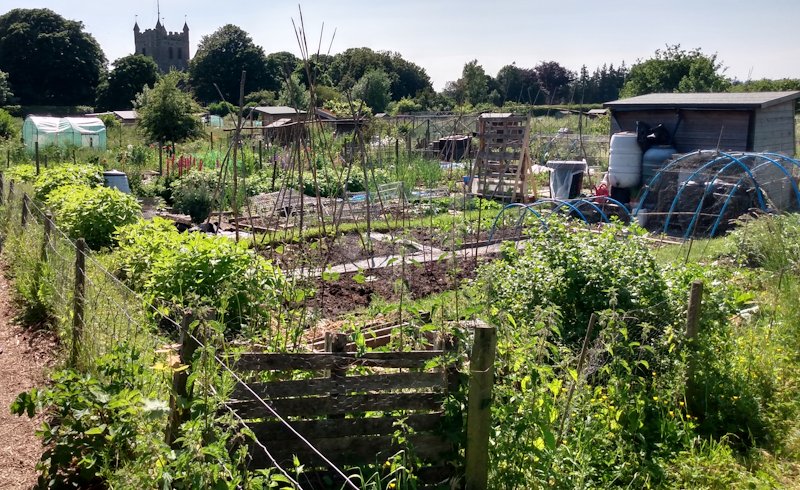 allotment